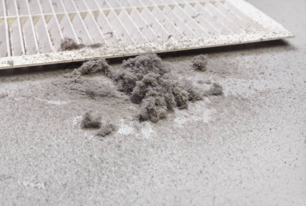 Best Professional Duct Cleaning Services  in White Pine, TN