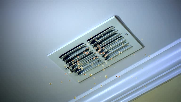 Best Affordable Duct Cleaning Services  in White Pine, TN