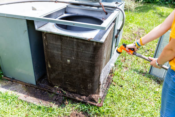 Best Local Air Duct Cleaning Services  in White Pine, TN