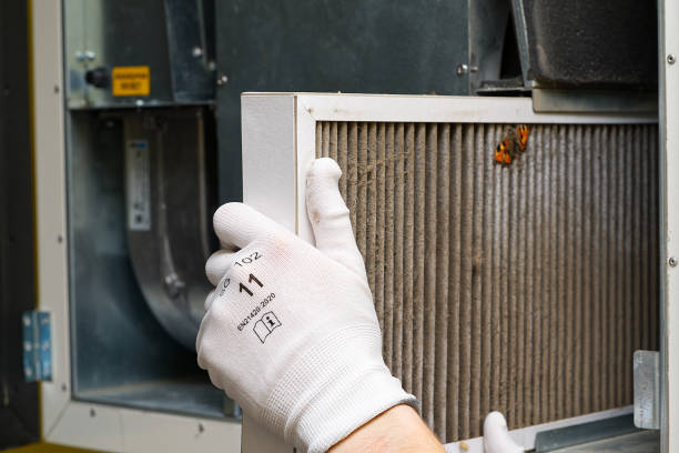 Best Best Air Duct Cleaning Near Me  in White Pine, TN