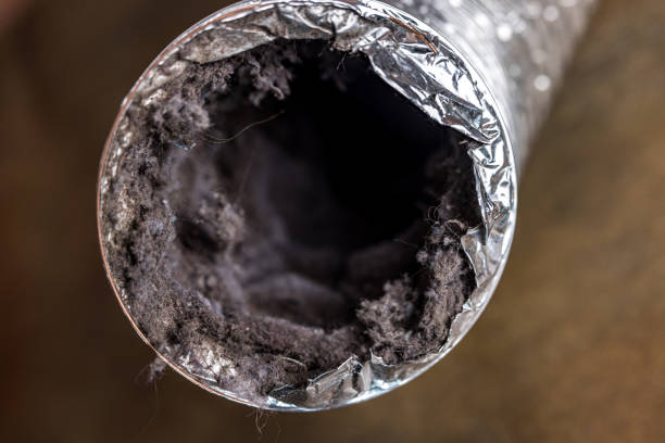 Best Residential Air Duct Cleaning  in White Pine, TN