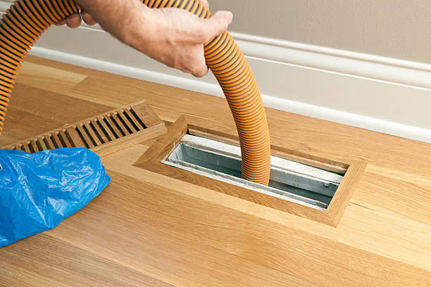 Best HVAC System Cleaning  in White Pine, TN