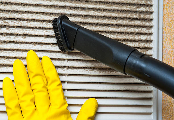 Best Air Duct Cleaning Near Me  in White Pine, TN