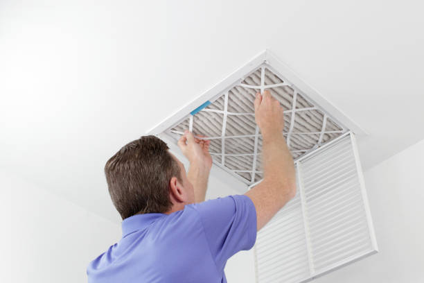 Best Commercial HVAC Duct Cleaning  in White Pine, TN